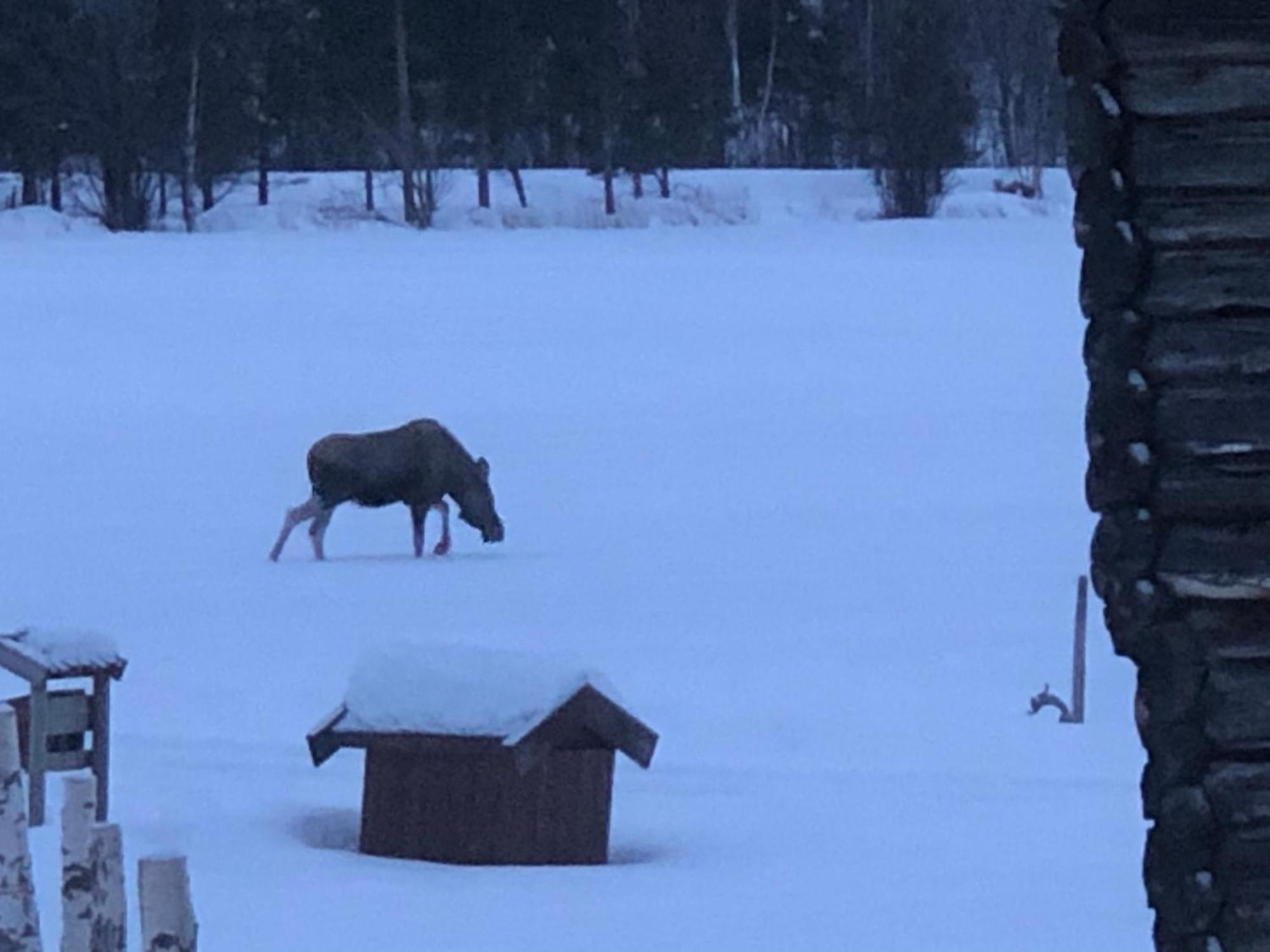 Galde Uppigard Villa Boverdalen Buitenkant foto